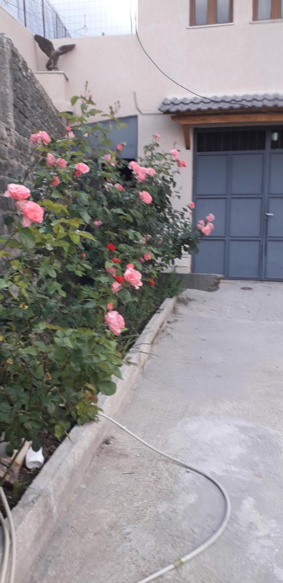 Shena Guest House Gjirokastra Kültér fotó